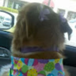 Meet your Posher, Jami